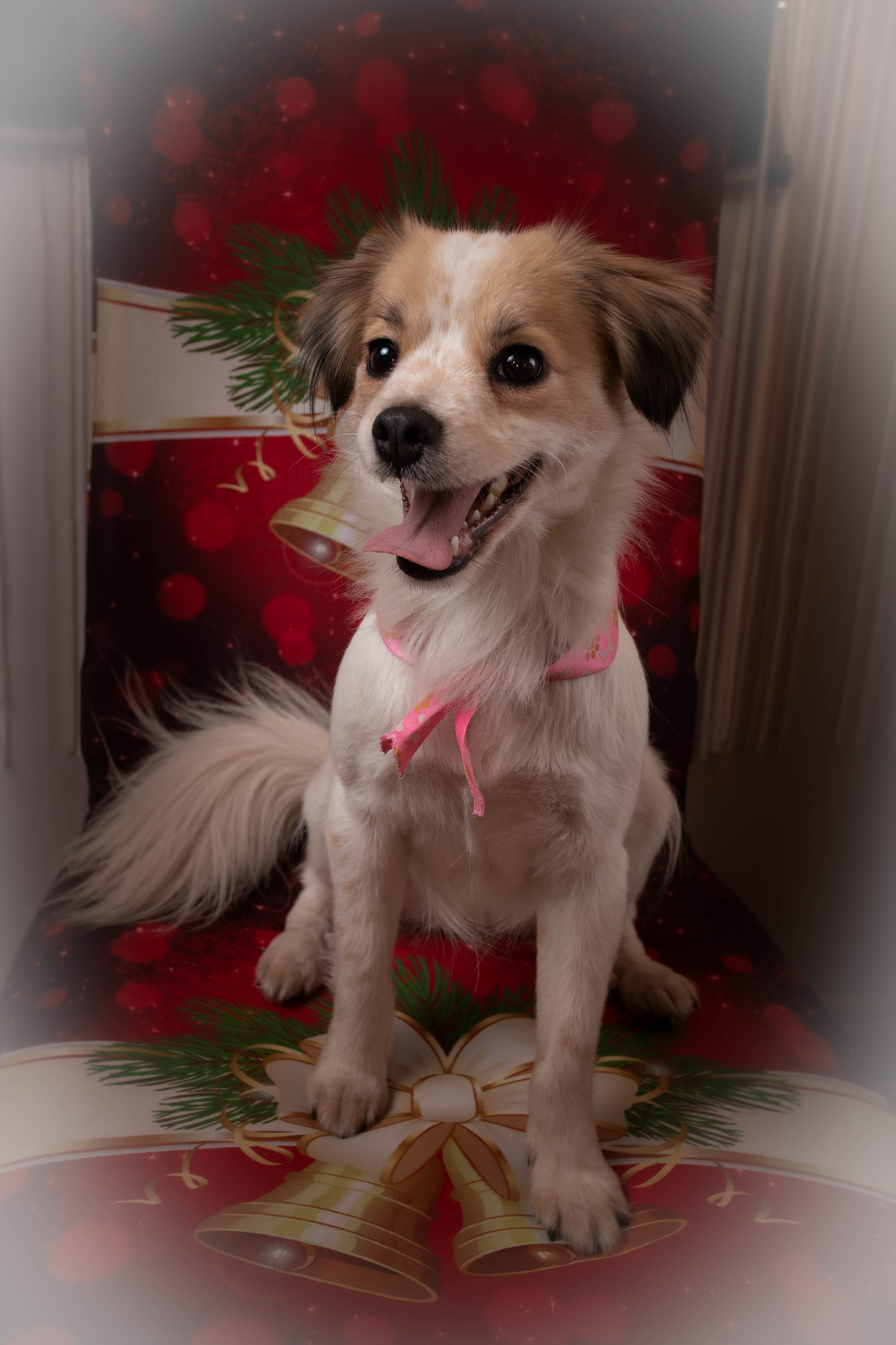 Foto de evento de muestra 2